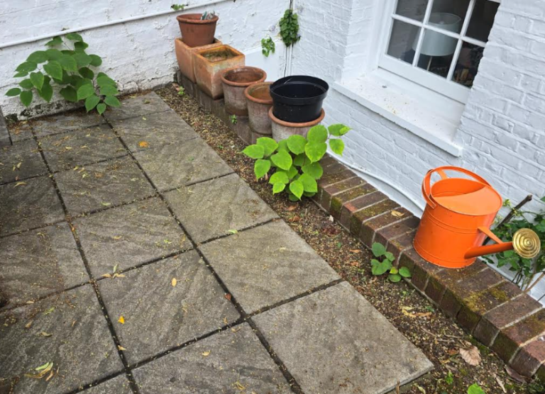 Patio of a domestic property during a Japanese Knotweed herbicide treatment programme, with minor regrowth at the edges